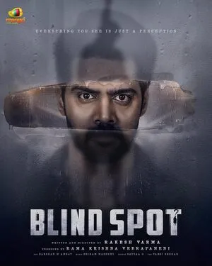 Blind Spot 2025 Hindi Dual Audio - Movierulz