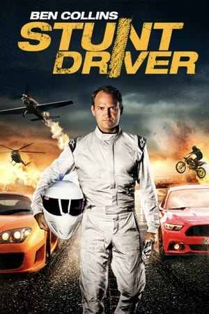 Ben Collins Stunt Driver (2015) Hindi Dual Audio [1GB] - Movierulz