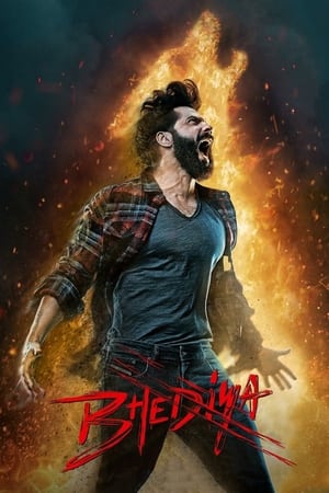 Bhediya 2022 Hindi Movie – - Movierulz
