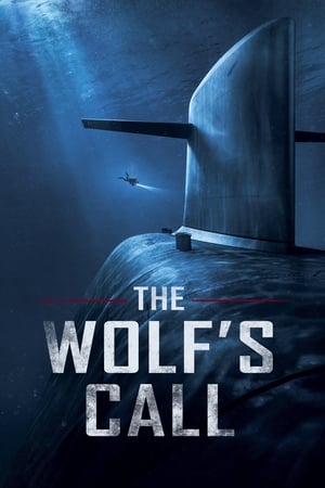 Call (2020) Hindi Dual Audio 400MB - Movierulz