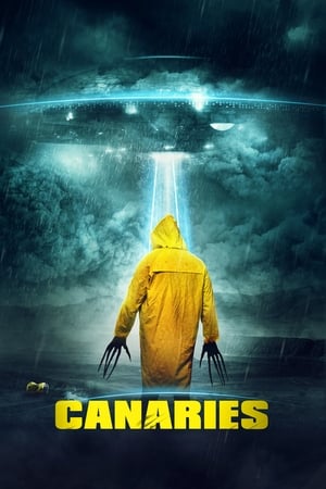Canaries (2017) Hindi Dual Audio 300MB - Movierulz