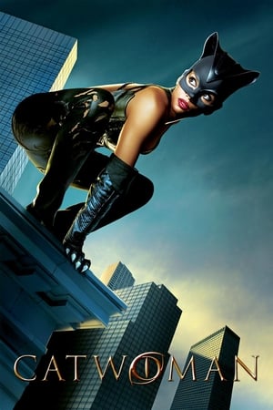 Catwoman (2004) Hindi Dual Audio [930MB] - Movierulz