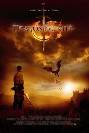 Dragon Hunter (2009) Hindi Dual Audio [1GB] - Movierulz