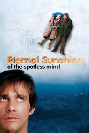 Eternal Sunshine Of The Spotless Mind 2004 Hindi Dual Audio 300MB - Movierulz