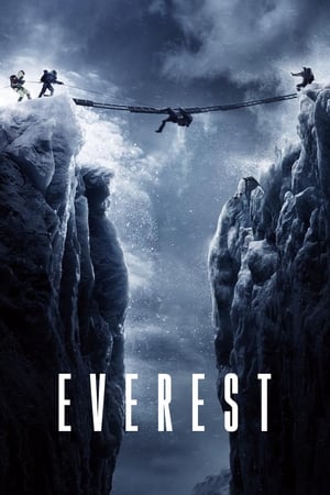 Everest (2015) Hindi Dual Audio 450MB - Movierulz