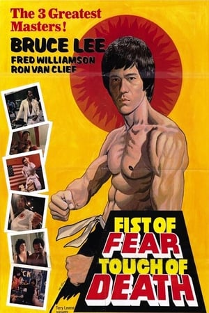 Fist of Fear Touch of Death 1980 Hindi Dual Audio 300MB - Movierulz