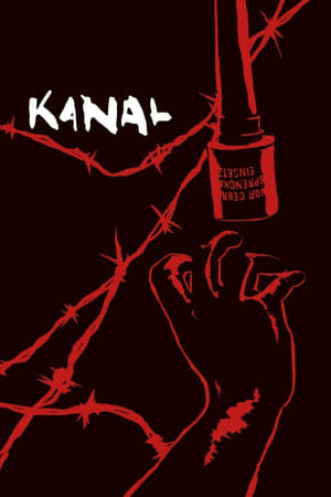 Kanal 2015 Hindi Dual Audio 450MB - Movierulz