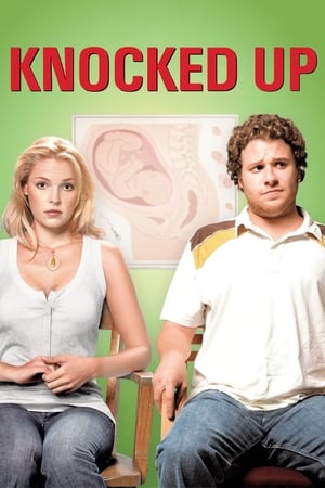Knocked Up (2007) Hindi Dual Audio 350MB - Movierulz
