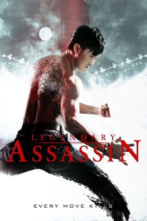 Legendary Assassin (2008) Hindi Dual Audio 300MB - Movierulz
