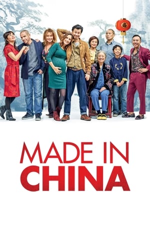 Made in China (2019) Hindi Movie - [340MB] - Movierulz