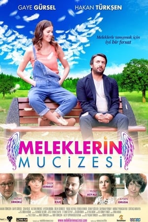 Meleklerin mucizesi (2014) Hindi Dual Audio 280MB - Movierulz