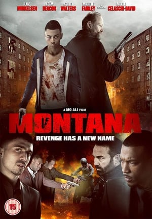 Montana (2014) Hindi Dual Audio [900MB] - Movierulz