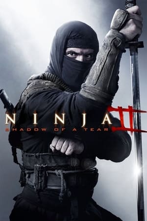 Ninja Shadow of a Tear 2013 Hindi Dual Audio [800MB] - Movierulz