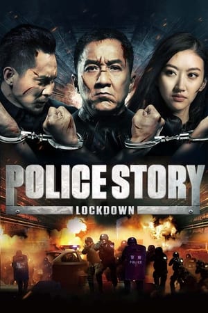 Police Story: Lockdown (2013) Hindi Dual Audio 380MB - Movierulz