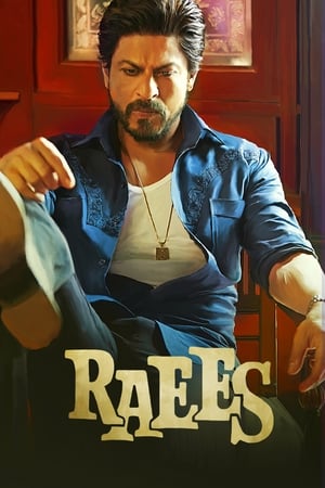 Raees 2017 200mb hindi movie - Movierulz