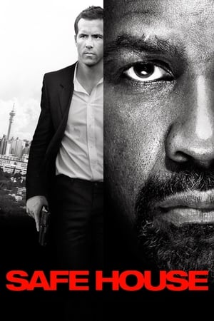 Safe House (2012) Hindi Dual Audio 350MB - Movierulz