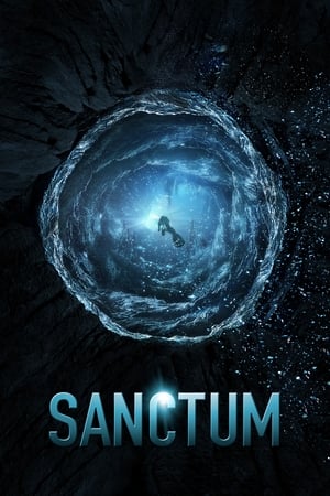 Sanctum (2011) Hindi Dual Audio 300MB - Movierulz