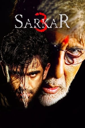 Sarkar 3 2017 Full Movie [700MB] Download - Movierulz