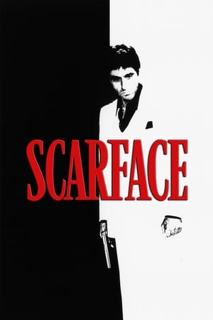 Scarface (1983) Dual Audio Hindi Movie - 1.4GB - Movierulz