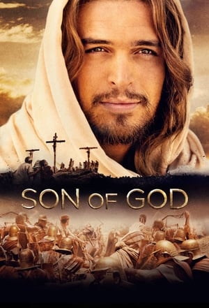 Son of God 2014 Hindi Dual Audio [980MB] - Movierulz