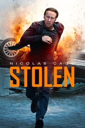 Stolen (2012) Hindi Dual Audio [800MB] ESubs - Movierulz