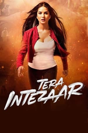 Tera Intezaar 2017 Movie [850MB] - Movierulz