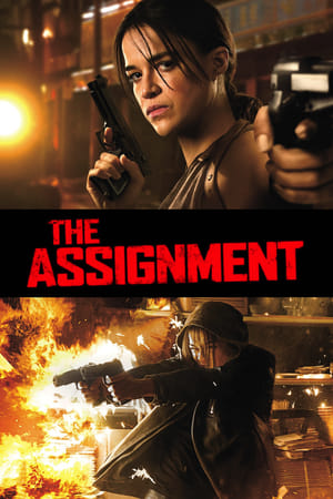 The Assignment (2016) Hindi Dual Audio 300MB - Movierulz