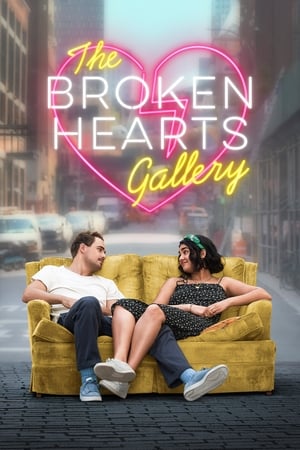 The Broken Hearts Gallery (2020) Hindi Dual Audio 340MB - Movierulz