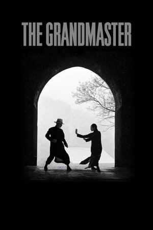 The Grandmaster (2013) Hindi Dual Audio [1GB] ESubs - Movierulz