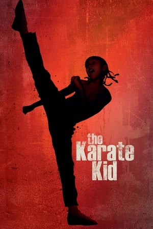The Karate Kid 2010 Hindi Dubbed 300MB Full Movie - Movierulz