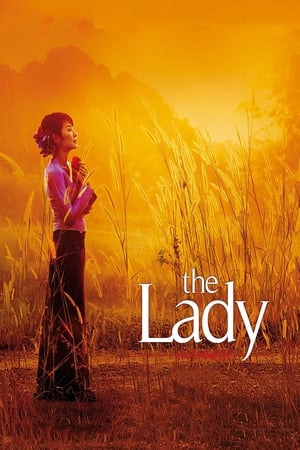 The Lady 2011 Dual Audio Hindi 400MB - Movierulz