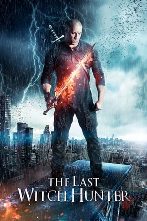 The Last Witch Hunter (2015) Hindi Dual Audio 300MB - Movierulz