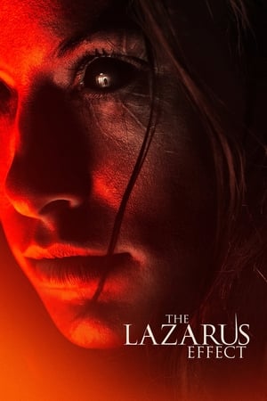 The Lazarus Effect (2015) Hindi Dual Audio [800MB] - Movierulz