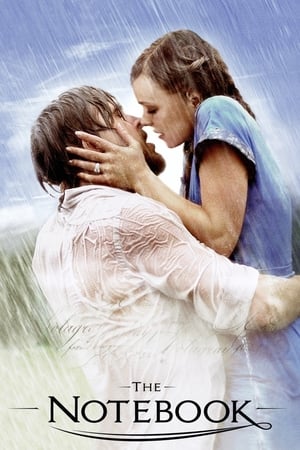 The Notebook 2004 Dual Audio Hindi [200MB] - Movierulz