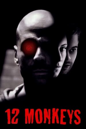 Twelve Monkeys (1995) Hindi Dual Audio 450MB - Movierulz