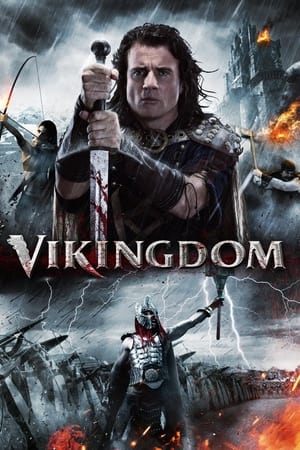 Vikingdom 2013 Hindi Dual Audio 380MB - Movierulz